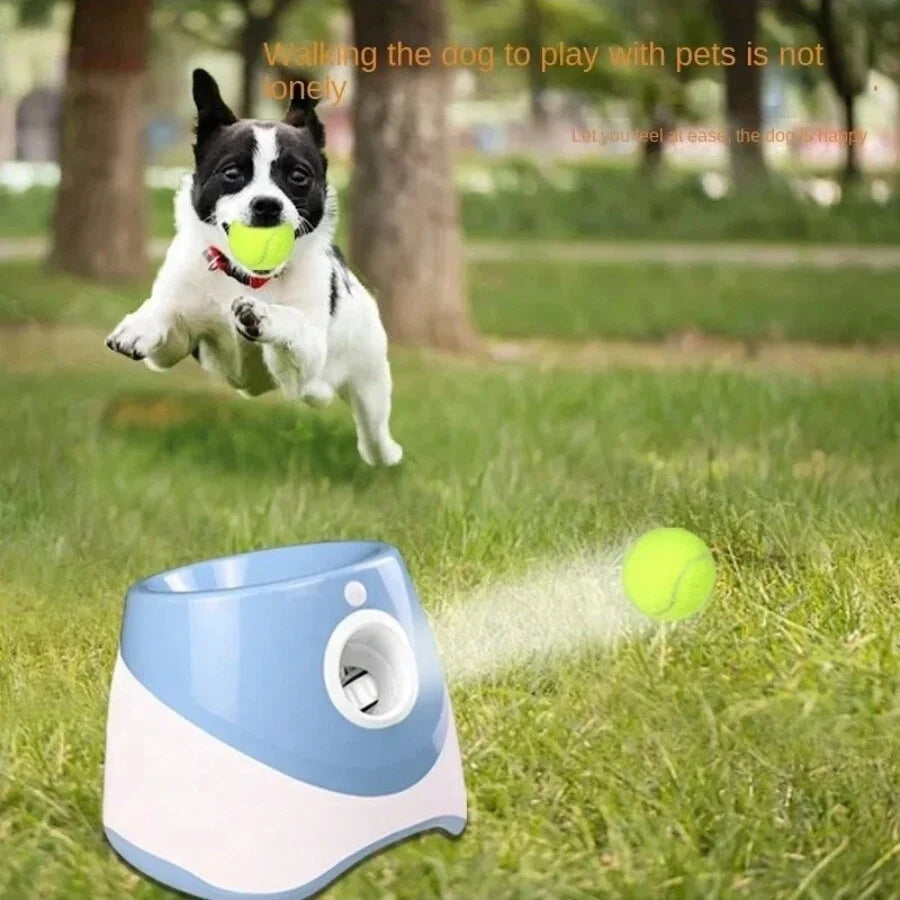 Automatic Dogs Ball Launcher