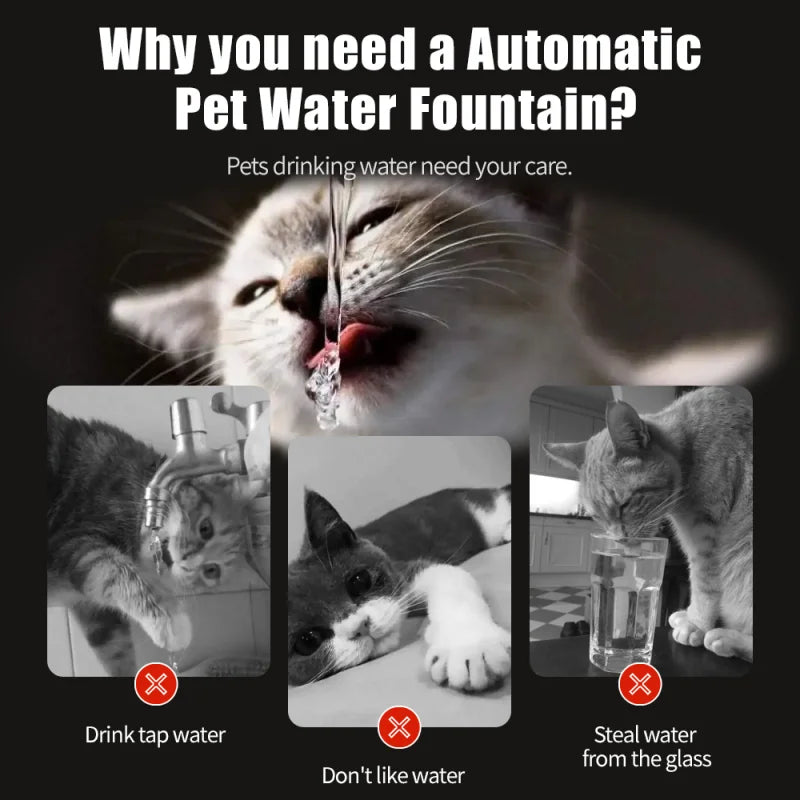 Cat & Dog Drinking Fountain 3L with Anti Dry Burning