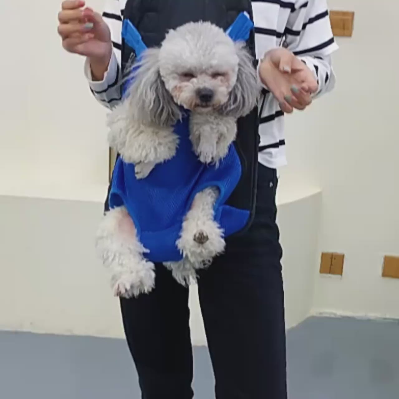 Pet Mesh Carrier, Outdoor travel Backpack