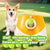 Automatic Dogs Ball Launcher 
