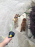 Retractable Double Dog Leashes, 360-Swivel No Tangle with Lights