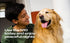 Ultrasonic Dog Repeller, Anti Barking Training device